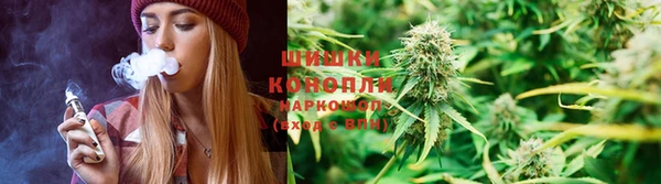 стаф Магадан