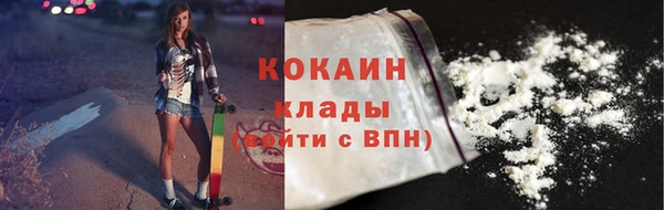дживик Мегион