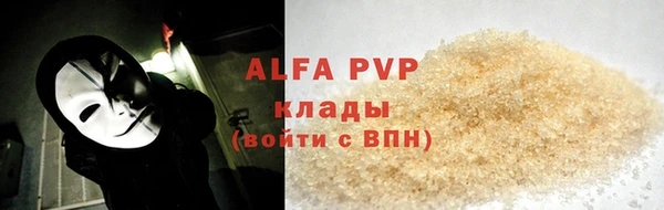 шишки Медвежьегорск