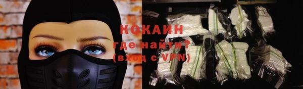 дживик Мегион