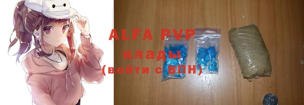 дживик Мегион