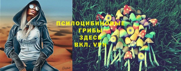 дживик Мегион