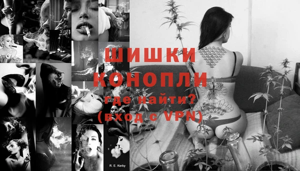 дживик Мегион