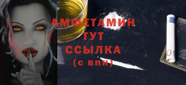 шишки Медвежьегорск