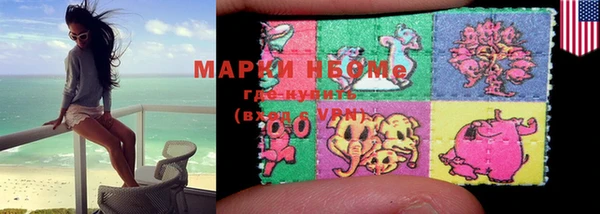 шишки Медвежьегорск
