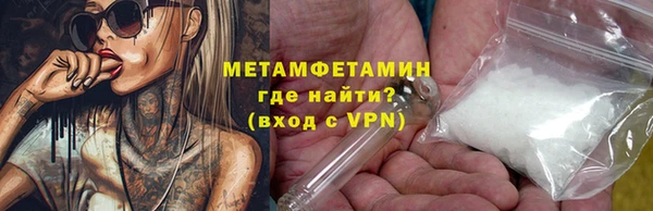 шишки Медвежьегорск