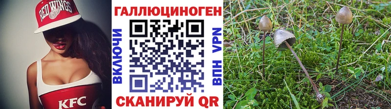 даркнет сайт  Томмот  маркетплейс состав  Галлюциногенные грибы Psilocybe 