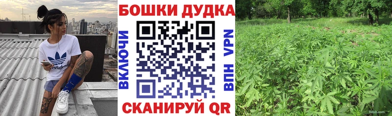 OMG ссылки Томмот Конопля White Widow